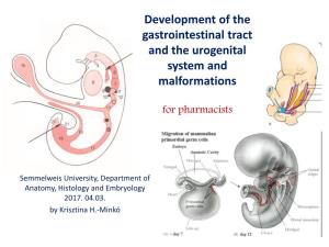 Development of the Gastrointestinal Tract and the Urogenital System and Malformations