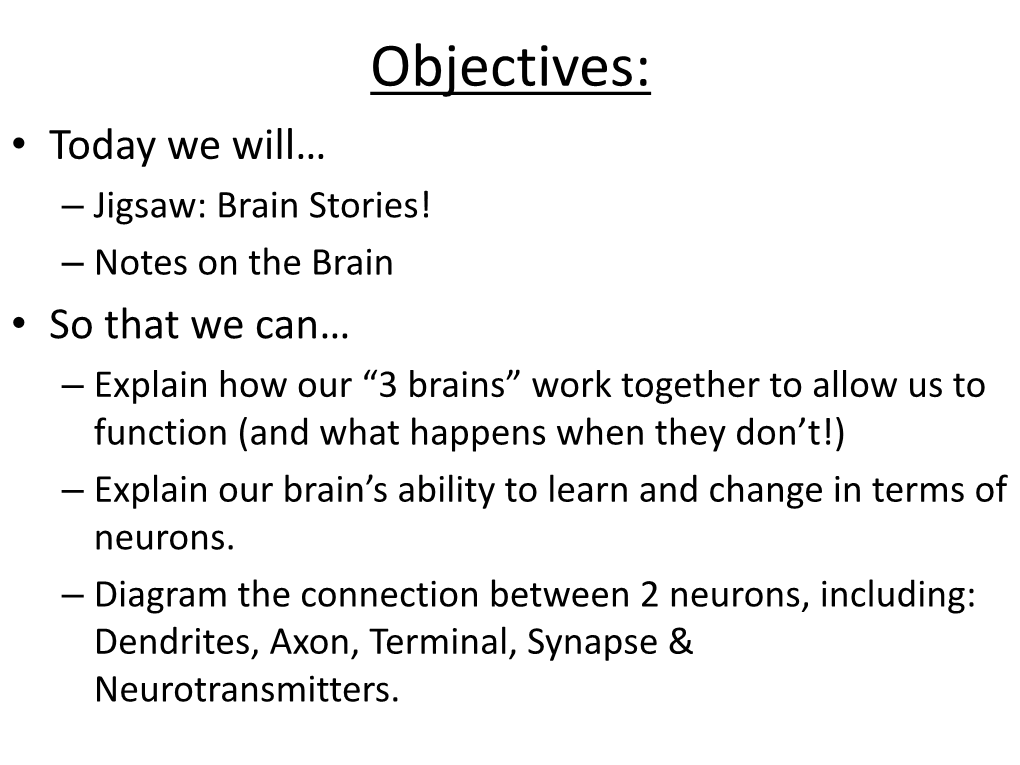 Brain & Neurons