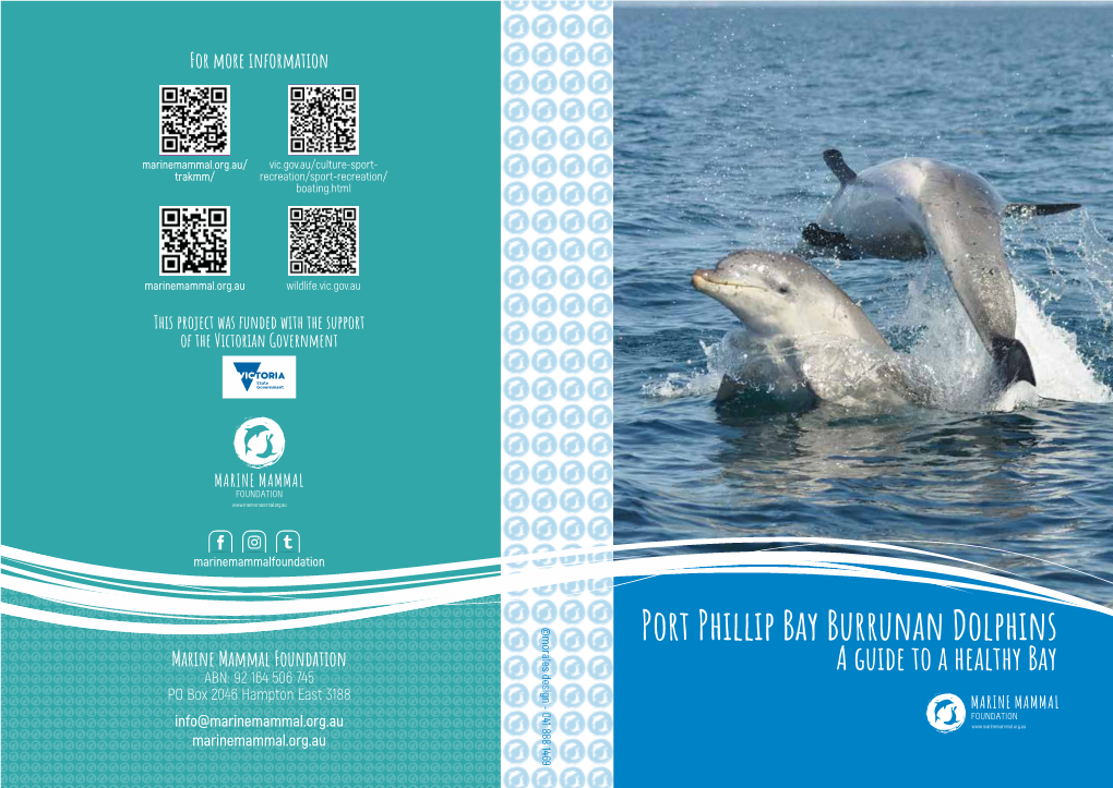 Port Phillip Bay Burrunan Dolphins