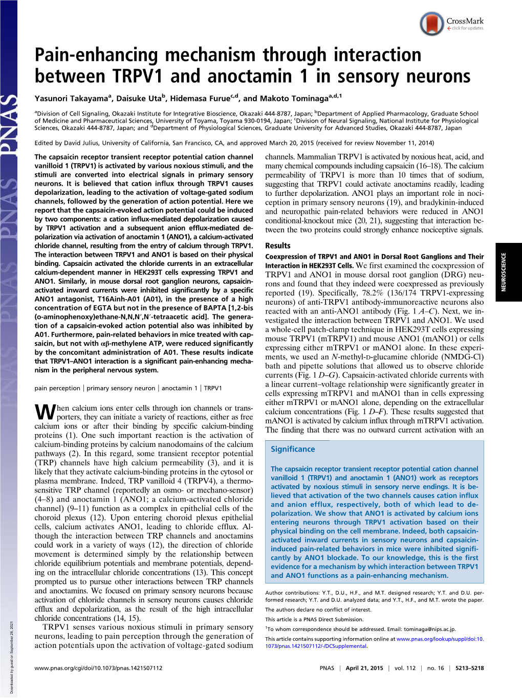 Pain-Enhancing Mechanism Through Interaction Between TRPV1 and Anoctamin 1 in Sensory Neurons