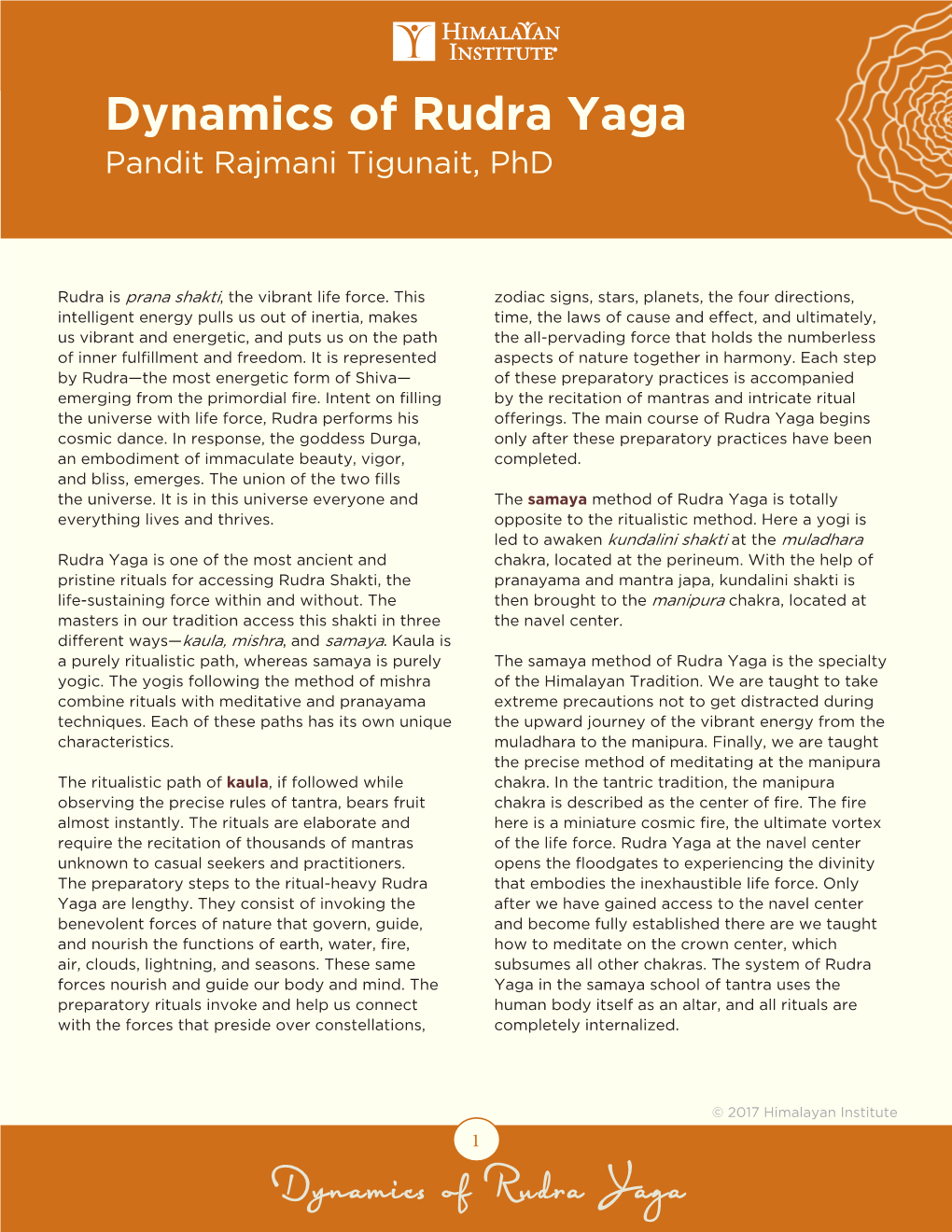 Dynamics of Rudra Yaga Pandit Rajmani Tigunait, Phd