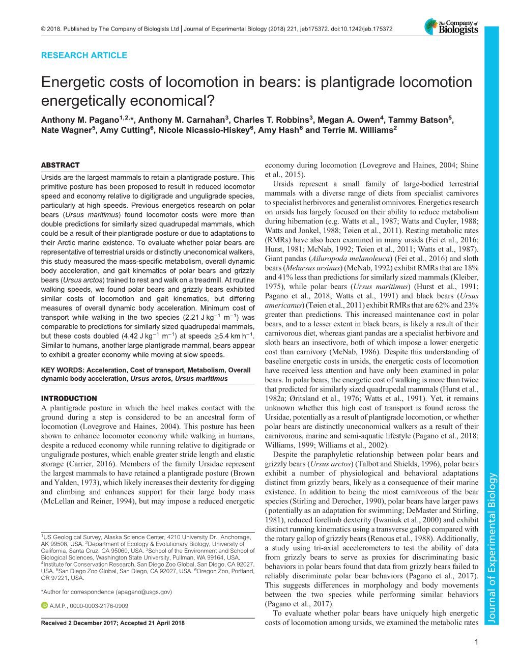 Energetic Costs of Locomotion in Bears: Is Plantigrade Locomotion Energetically Economical? Anthony M