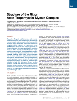 Structure of the Rigor Actin-Tropomyosin-Myosin