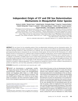 Independent Origin of XY and ZW Sex Determination Mechanisms in Mosquitoﬁsh Sister Species