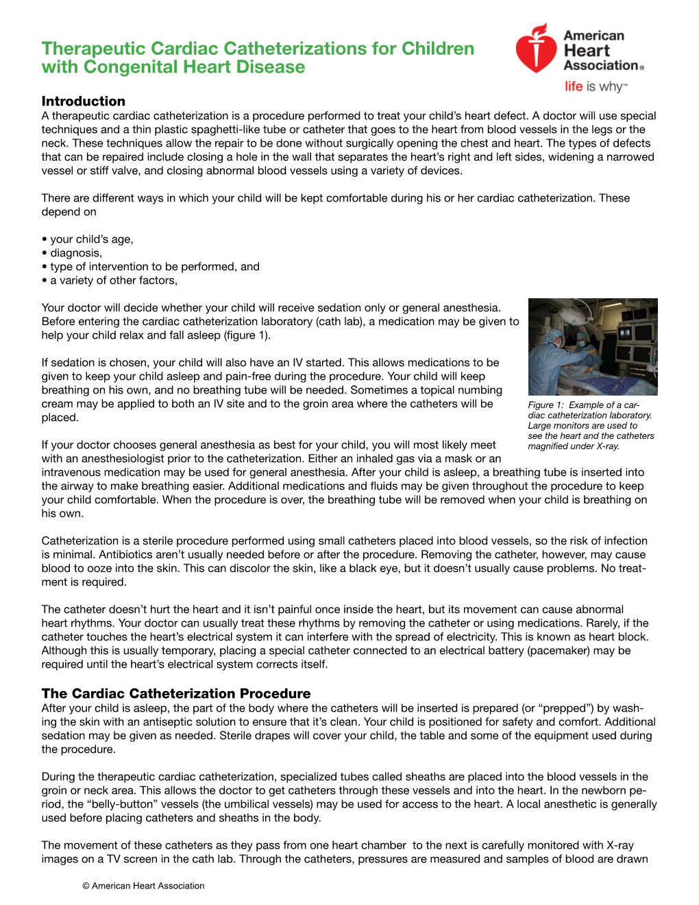 Therapeutic Cardiac Catheterizations for Children with Congenital Heart Disease