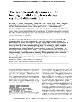 The Genome-Wide Dynamics of the Binding of Ldb1 Complexes During Erythroid Differentiation