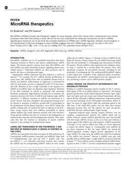 Microrna Therapeutics