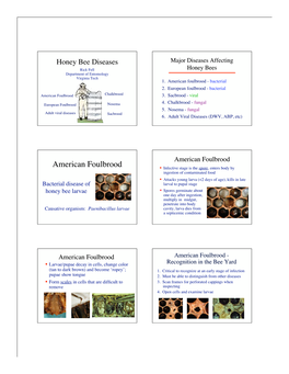 Bee Diseases Major Diseases Affecting Rick Fell Honey Bees Department of Entomology Virginia Tech 1