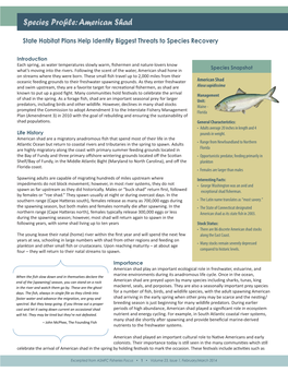 Atlantic Sturgeon Species Profile: American Shad