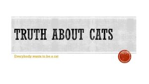 Truth About Cats and Dogs