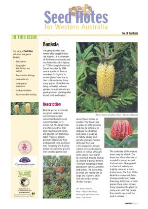Banksia in THIS ISSUE Dbanksia This Issue of Seed Notes the Genus Banksia Was Will Cover the Genus Named After Joseph Banks, Banksia