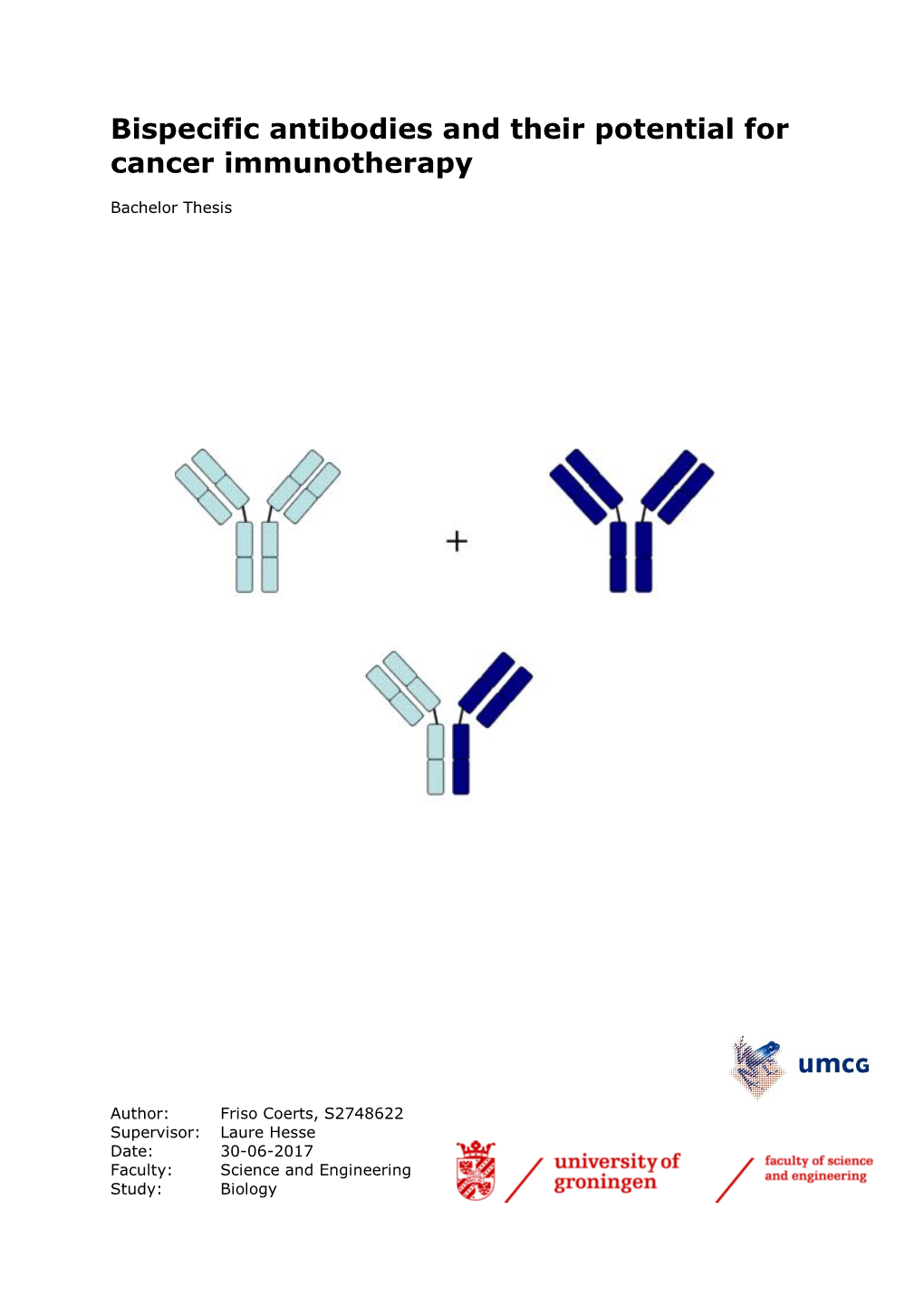 Bispecific Antibodies And Their Potential For Cancer Immunotherapy ...