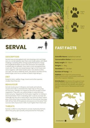 Serval Fact Sheet