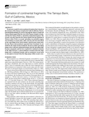 Formation of Continental Fragments: the Tamayo Bank, Gulf of California, Mexico