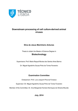 Downstream Processing of Cell Culture-Derived Animal Viruses