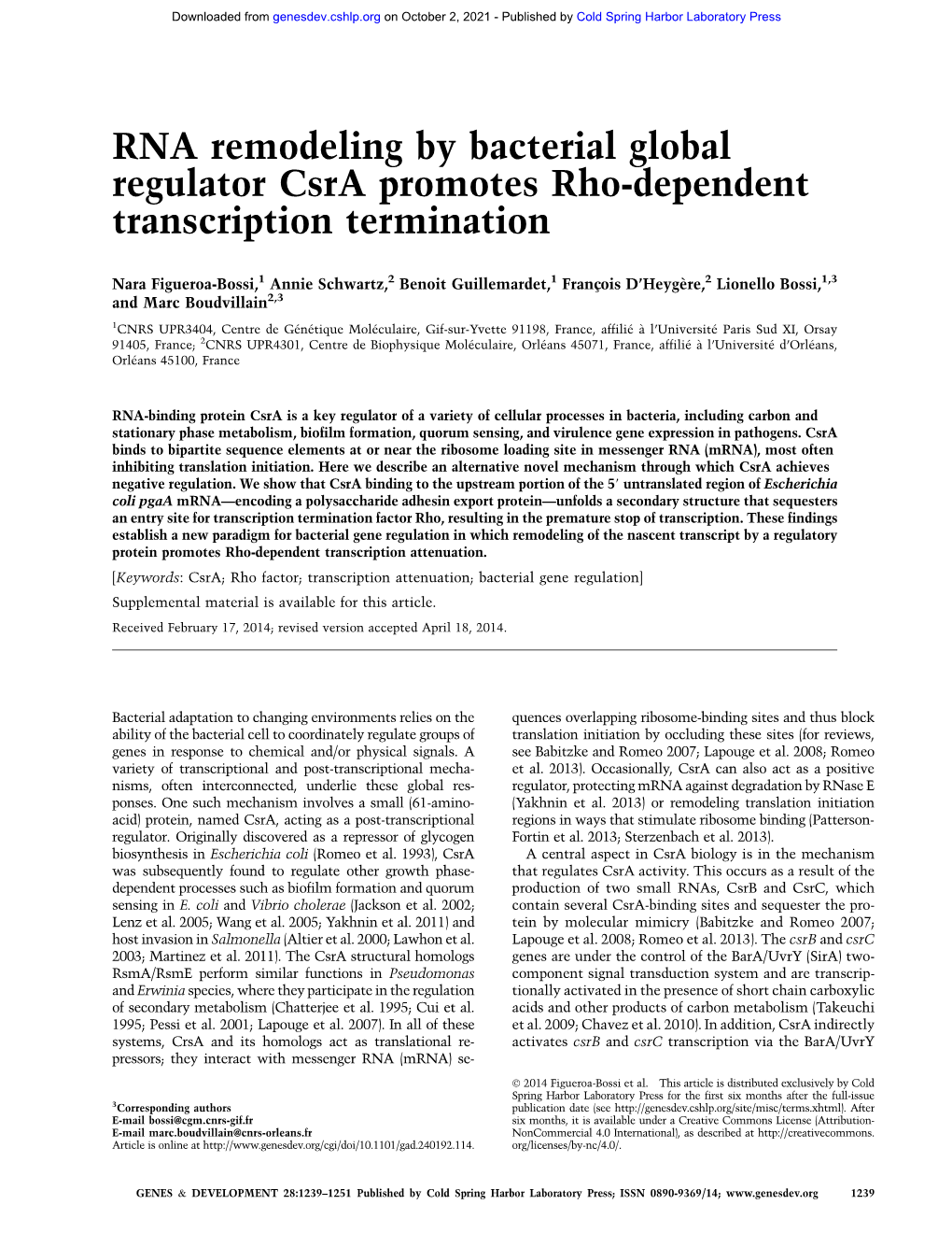 RNA Remodeling by Bacterial Global Regulator Csra Promotes Rho-Dependent Transcription Termination