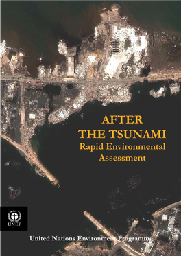 Tsunami Foreword Layout