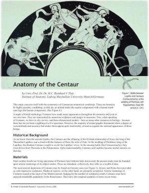 Anatomy of the Centaur