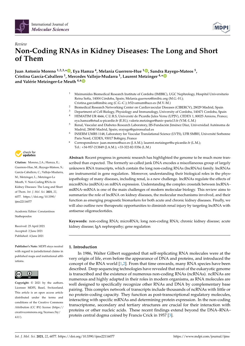 Non-Coding Rnas in Kidney Diseases: the Long and Short of Them