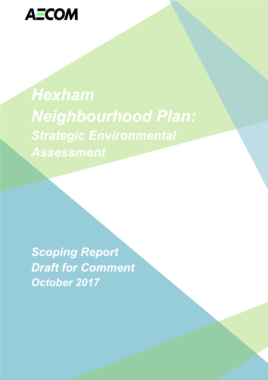 Strategic Environmental Assessment Hexham Scoping Report Draft For