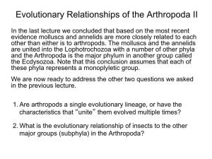 Evolutionary Relationships of the Arthropoda II