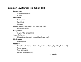 Low Shrubs (40-200Cm Tall) Betulaceae Betula Glandulosa B