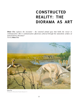 Constructed Reality: the Diorama As