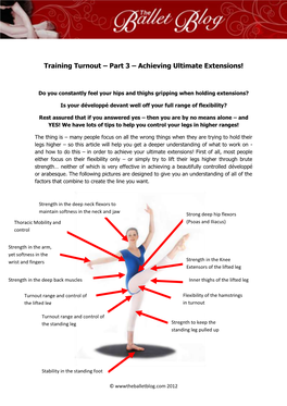 Training Turnout – Part 3 – Achieving Ultimate Extensions!