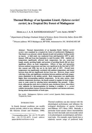 Thermal Biology of an Iguanian Lizard, Oplurus Cuvieri Cuvieri, in a Tropical Dry Forest of Madagascar