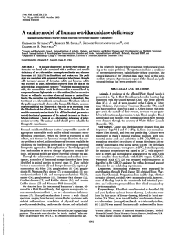A Canine Model of Human A-L-Iduronidase Deficiency (Mucopolysaccharidosis I/Hurler-Scheie Syndrome/Correction/Mannose 6-Phosphate) ELIZABETH SPELLACY*T, ROBERT M