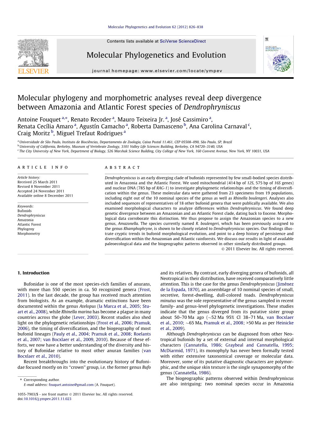 Molecular Phylogeny and Morphometric Analyses Reveal Deep