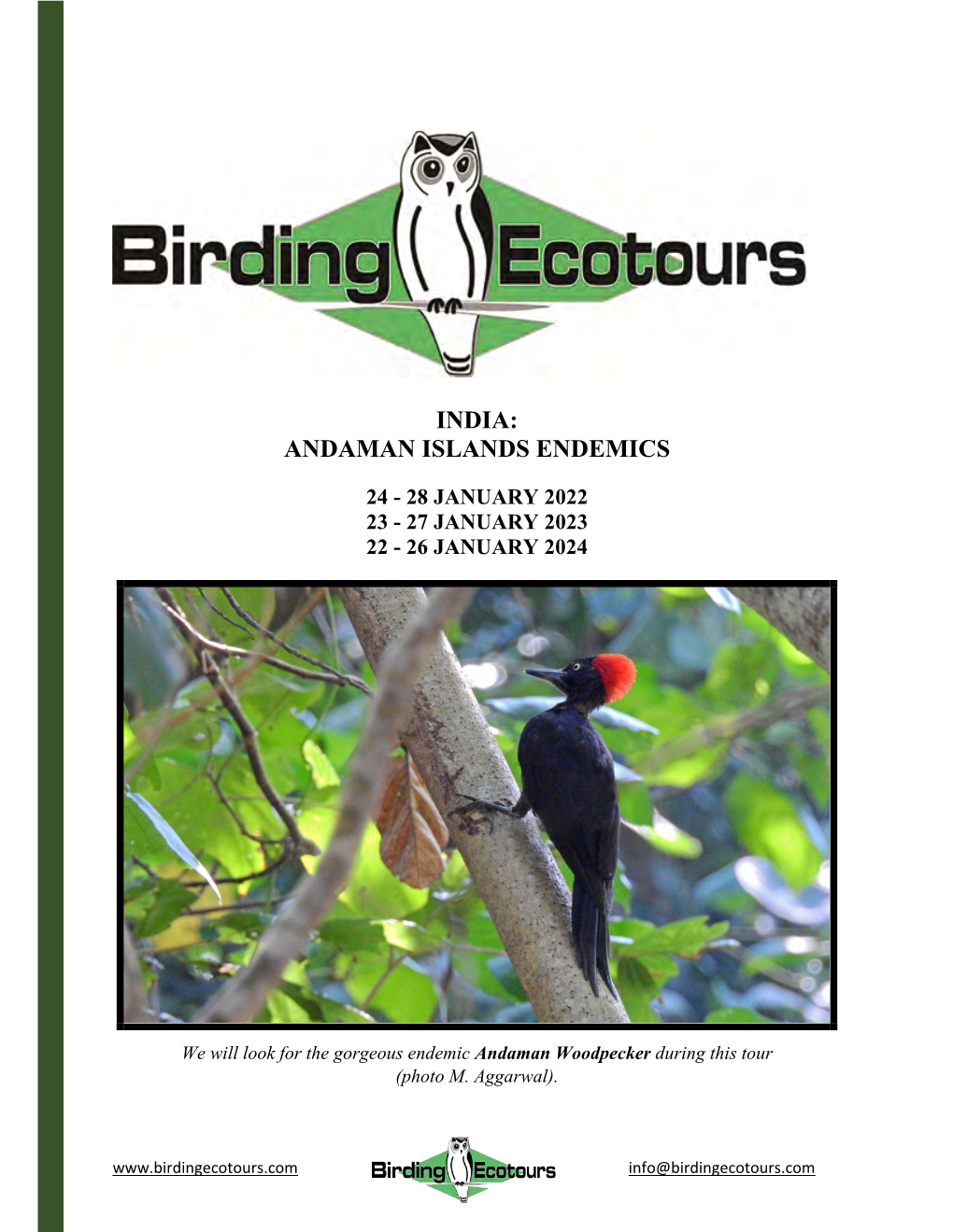 India: Andaman Islands Endemics