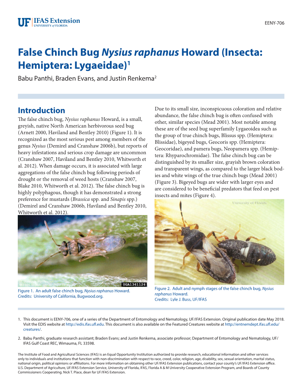 False Chinch Bug Nysius Raphanus Howard (Insecta: Hemiptera: Lygaeidae)1 Babu Panthi, Braden Evans, and Justin Renkema2
