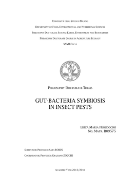 Gut-Bacteria Symbiosis in Insect Pests