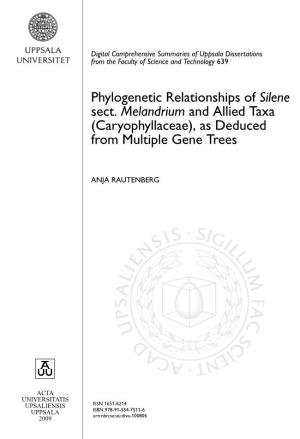Phylogenetic Relationships of Silene Sect. Melandrium and Allied Taxa
