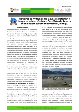 Monitoreo De Avifauna En La Laguna De Metztitlán Y Bosque De Sabino (Juniperus Flaccida) En La Reserva