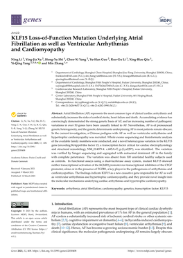 KLF15 Loss-Of-Function Mutation Underlying Atrial Fibrillation As Well As Ventricular Arrhythmias and Cardiomyopathy