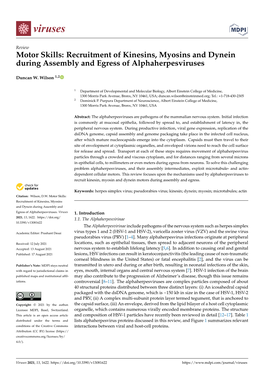 Motor Skills: Recruitment of Kinesins, Myosins and Dynein During Assembly and Egress of Alphaherpesviruses