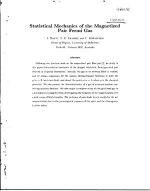 Statistical Mechanics of the Magnetized Pair Fermi Gas