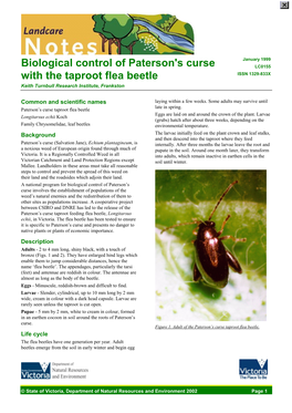 Biological Control of Paterson's Curse with the Tap-Root Flea Beetle (DSE Vic)
