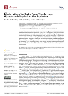 Palmitoylation of the Bovine Foamy Virus Envelope Glycoprotein Is Required for Viral Replication