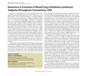 Ranavirus Is Common in Wood Frog (Lithobates Sylvaticus) Tadpoles Throughout Connecticut, USA