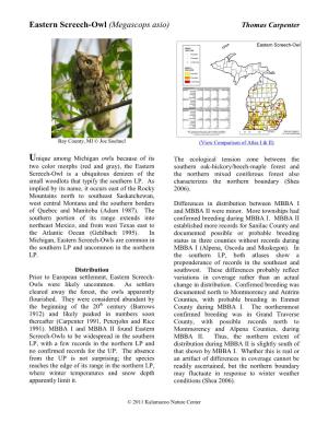 Eastern Screech-Owl (Megascops Asio) Thomas Carpenter