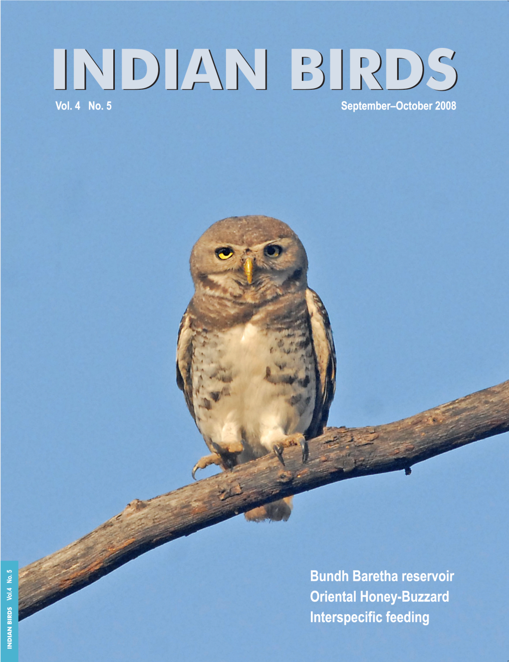 Unusual Nest of Crested Bunting Melophus Lathami at Suhagpura, Pratapgarh District, Rajasthan, Indiags Bhardwaj, HS Sangha