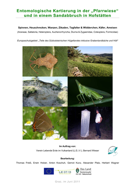 Bericht Der Entomolo- Gischen Kartierung 2010)