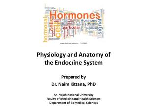 Physiology and Anatomy of the Endocrine System