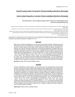 Intraspecific Karyotypic Variation in the Silverside Fish Chirostoma Humboldtianum (Atheriniformes: Atherinopsidae)