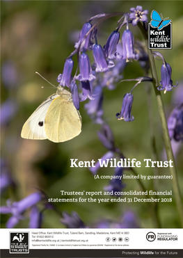 Kent Wildlife Trust and a Year of Uncertainty in Wider Society