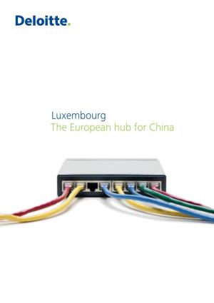 Luxembourg Chinese Services Group Co-Leader