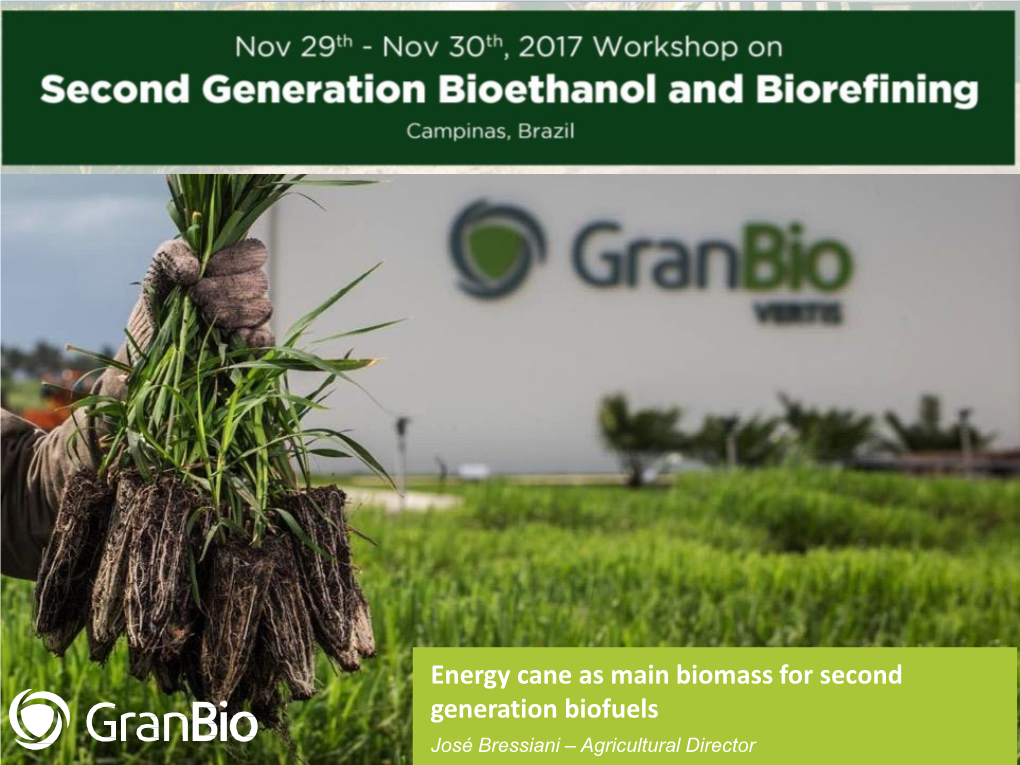 Energy Cane As Main Biomass for Second Generation Biofuels José Bressiani – Agricultural Director Corporate Structure